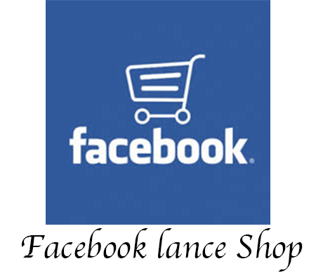 Lancement facebook shop france